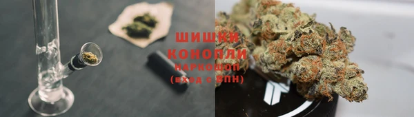 крисы Нягань
